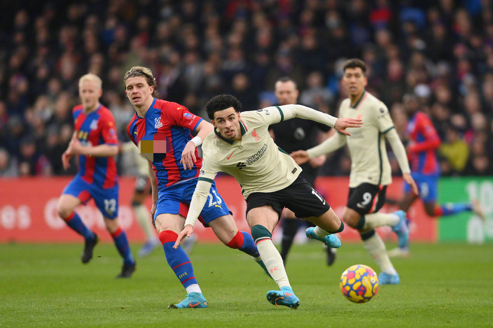 在这场比赛 在这场比赛